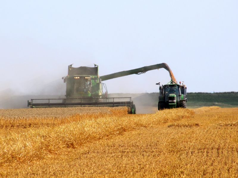 John Deere combine harvester and tractor working together in golden wheat field