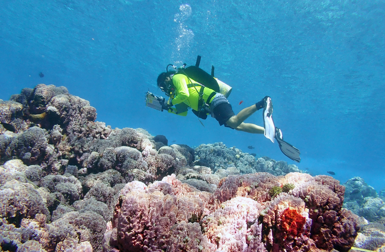 NOAA diver measuring coral at a vibrant reef ecosystem