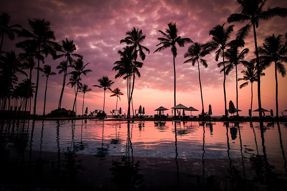 Tropical beach resort pool with palm trees at sunset