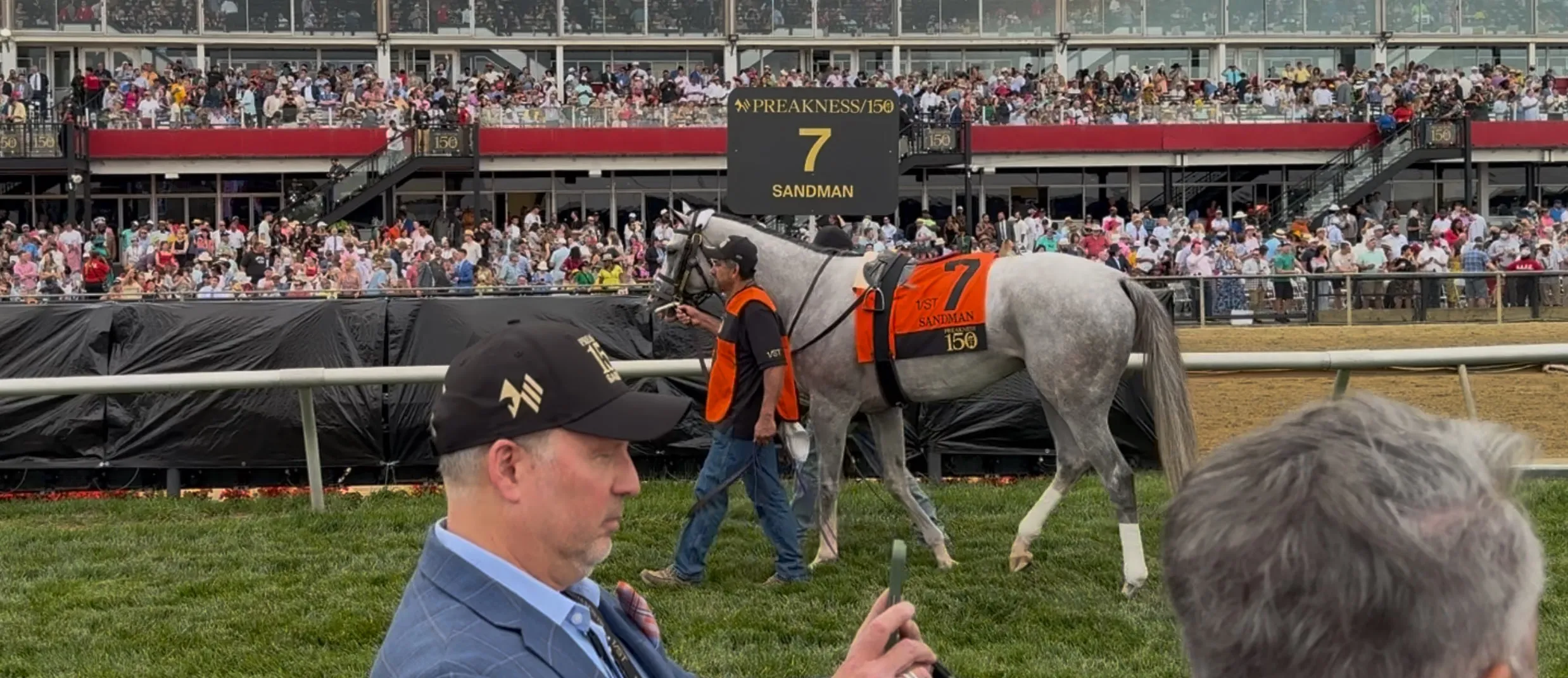 Sandman, a racing thoroughbred