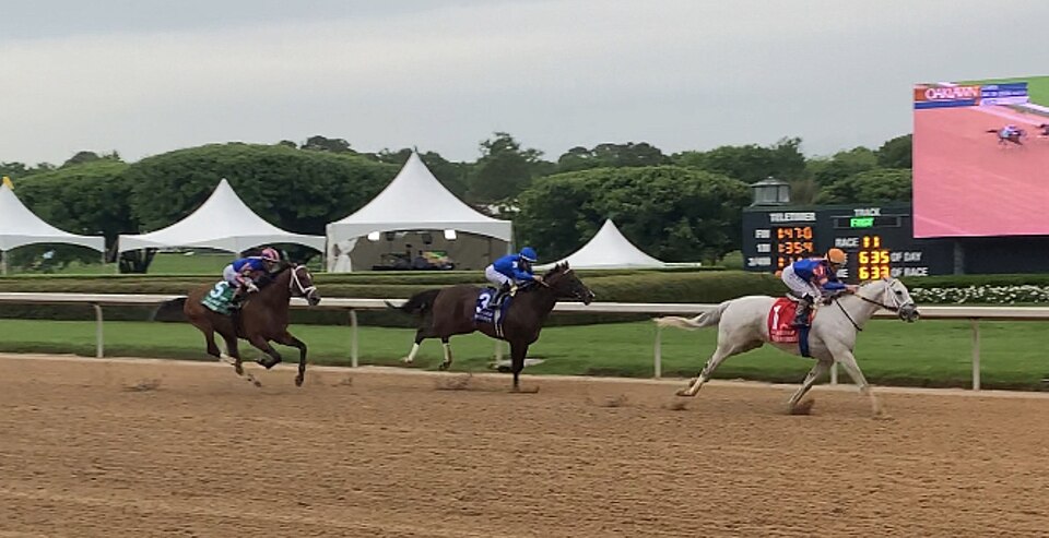 Thoroughbred horses racing at the 2026 Oaklawn Handicap