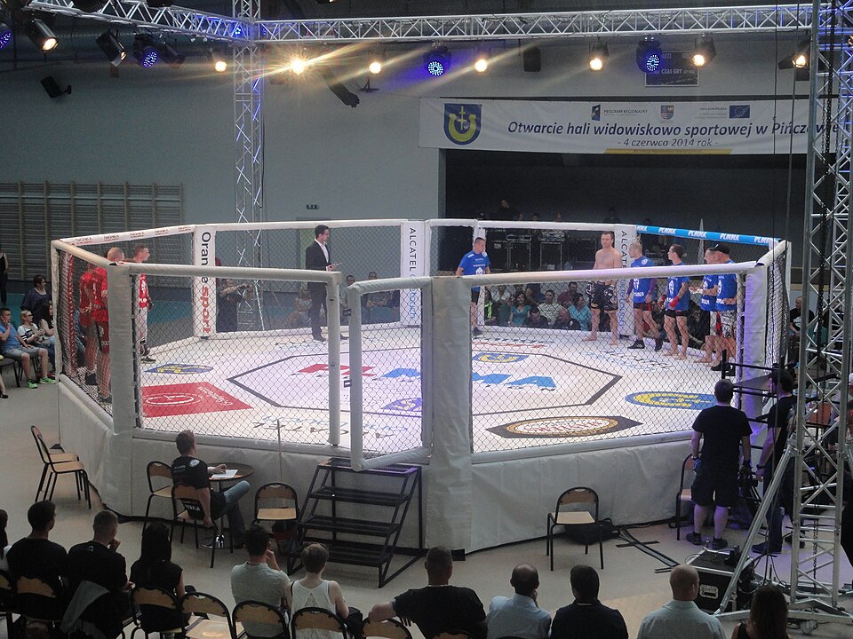 Professional MMA octagon cage setup for major fight event